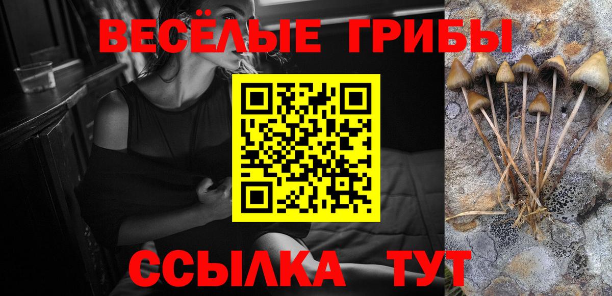 Новокубанск  Галлюциногенные грибы GOLDEN TEACHER  Вход с VPN  Галлюциногенные грибы Psilocybine cubensis 
