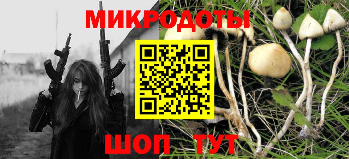 Псилоцибиновые грибы Psilocybine cubensis Новокубанск