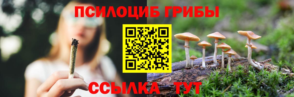 Галлюциногенные грибы Psilocybine cubensis  Псилоцибиновые грибы Magic Shrooms  Новокубанск 