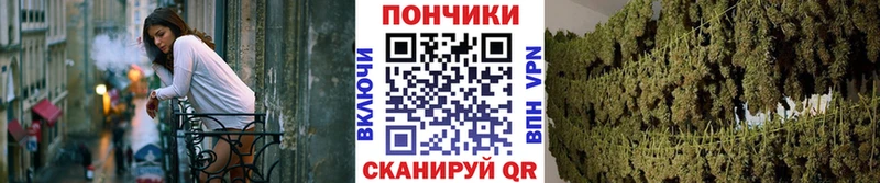 гидра ссылка Новокубанск Бошки Шишки гибрид