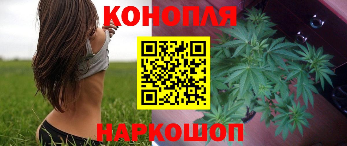 Бошки марихуана OG Kush  МАРИХУАНА семена  Новокубанск  Шишки марихуана сатива  Марихуана MAZAR 